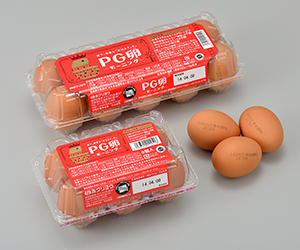 PG EGG