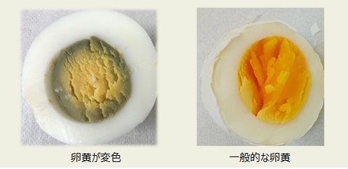 たまご博士の知恵袋 たまごを学ぼう ホクリヨウ