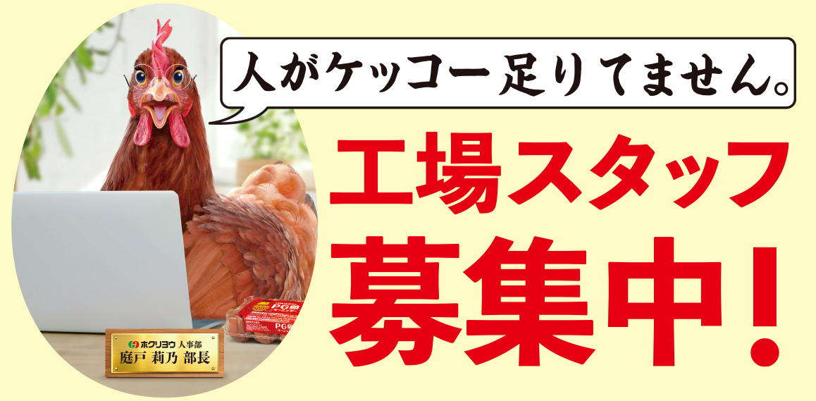 リクルート特設ページ